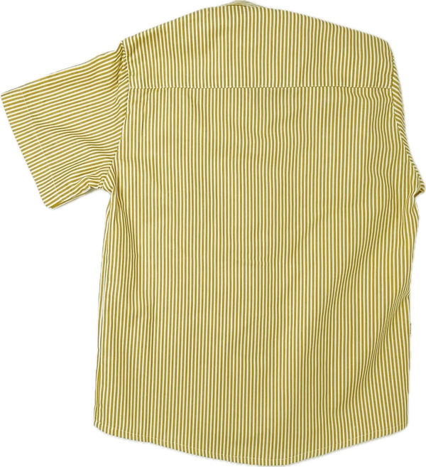 Camisa Papaia